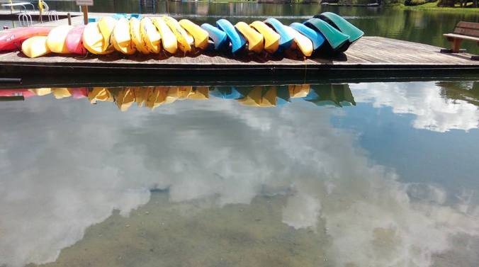 18557144_10155149725576708_442936818933817199_n