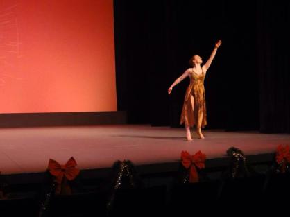 1475928_622191494509913_11176203_n