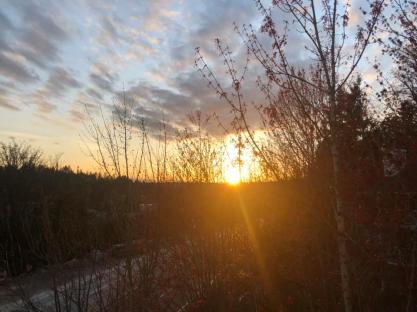 92053468_3244059592323077_5861145786414268416_n